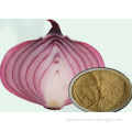 Onion Extract